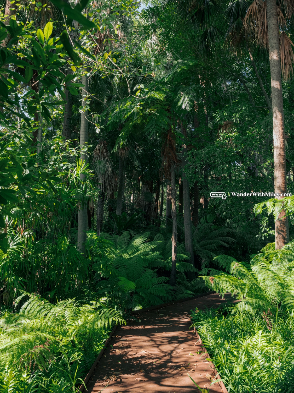 South botanic garden (5)