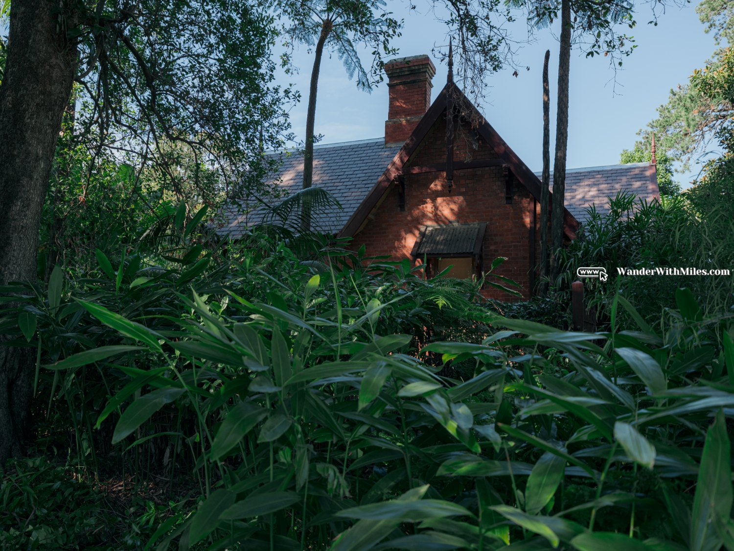 South botanic garden (6)