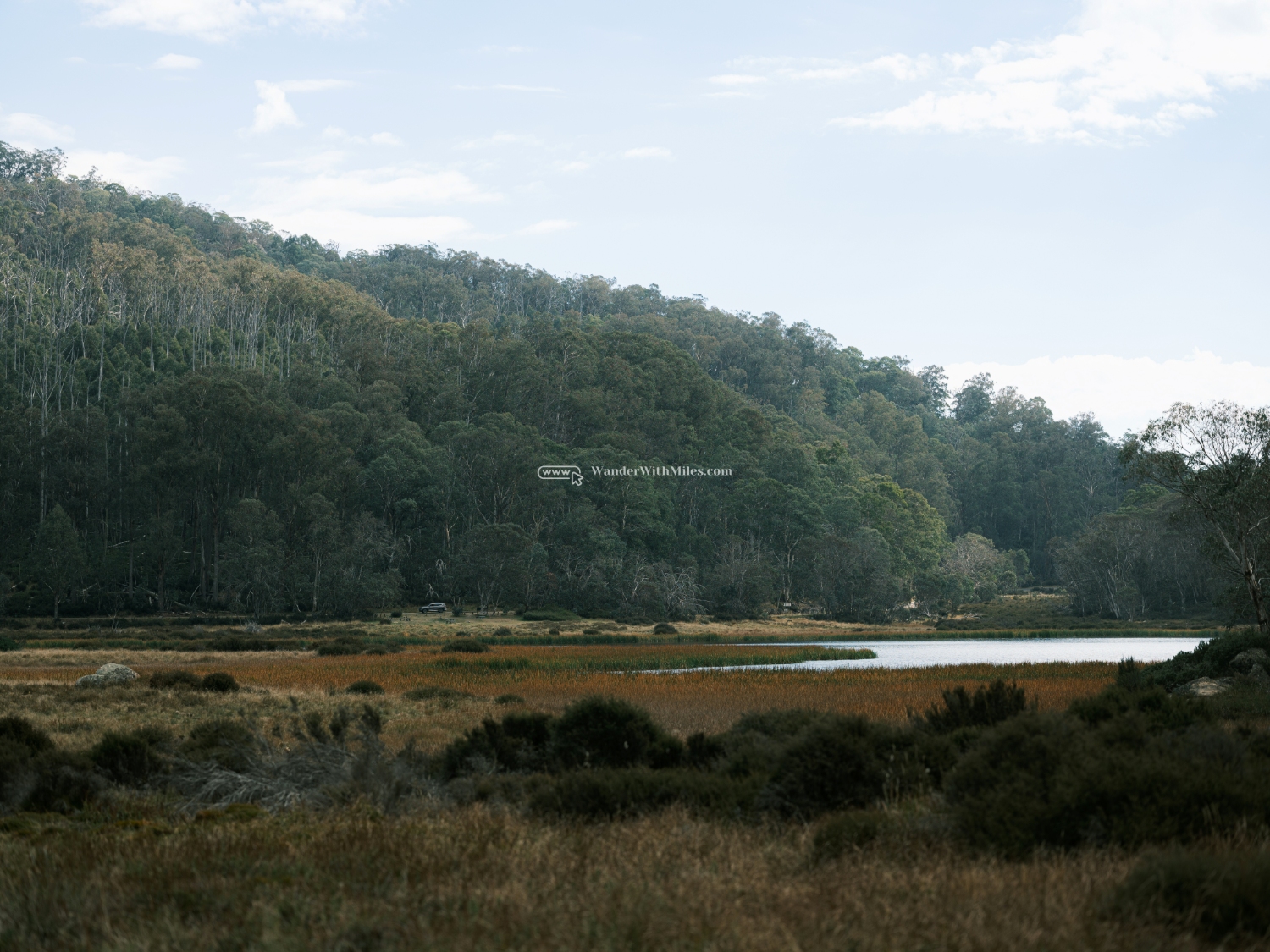 Autumn in bright victoria australia (87)