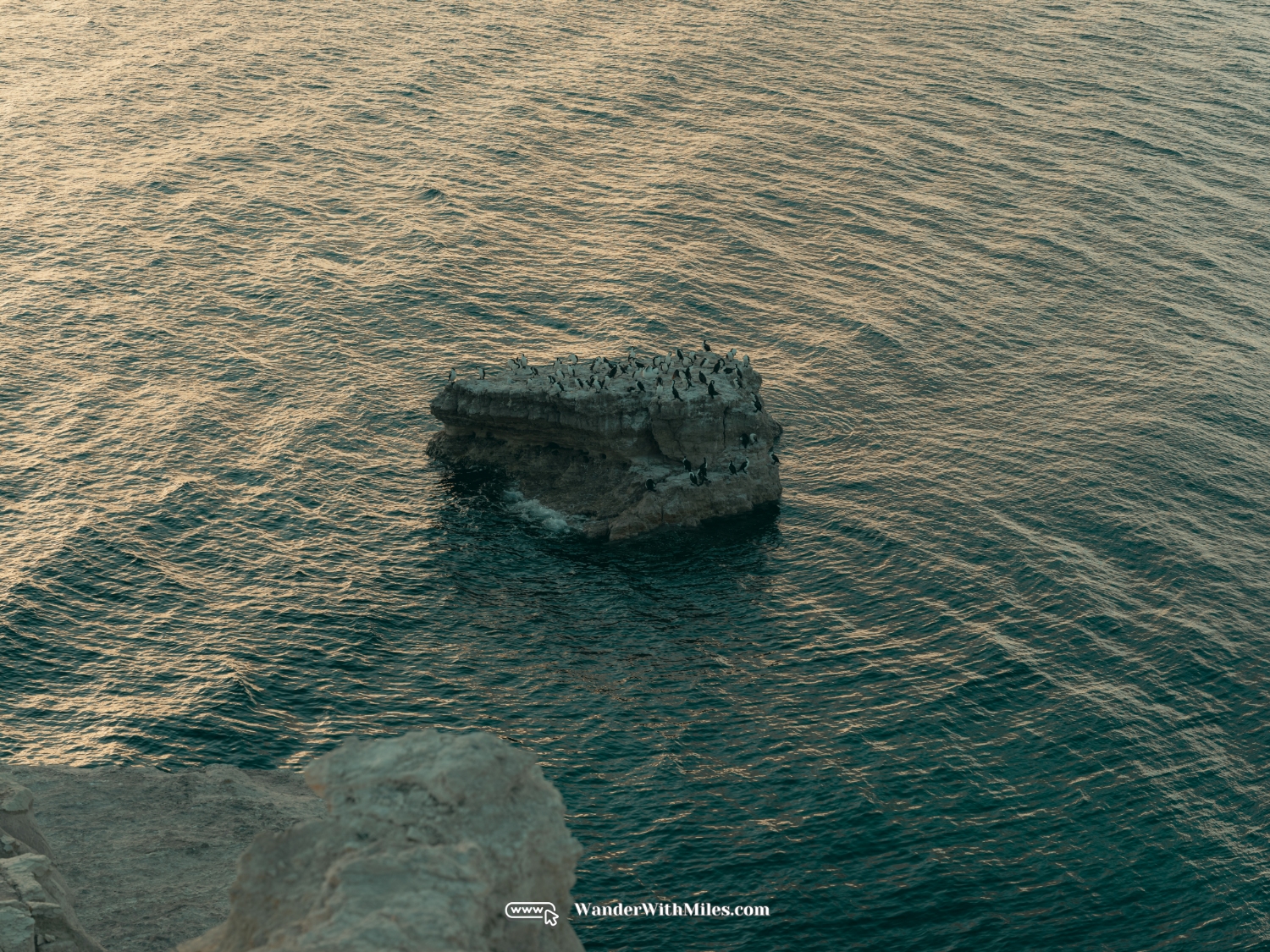 Blanche point adelaidedscf3020