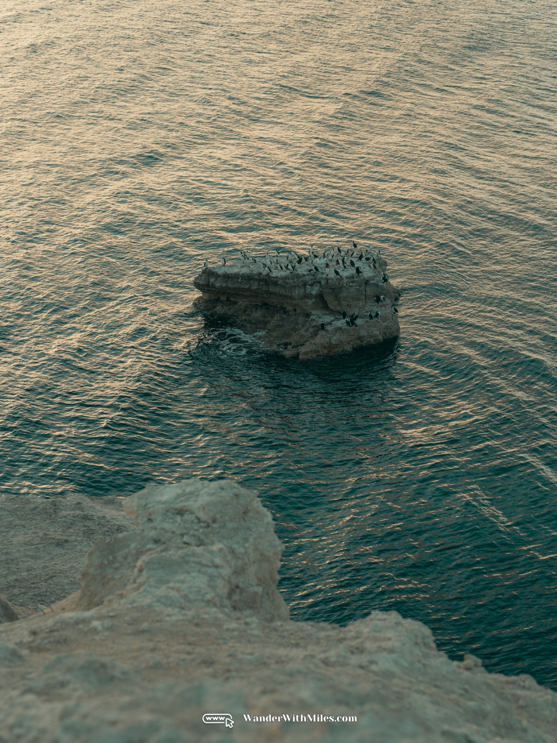 Blanche point adelaidedscf3021