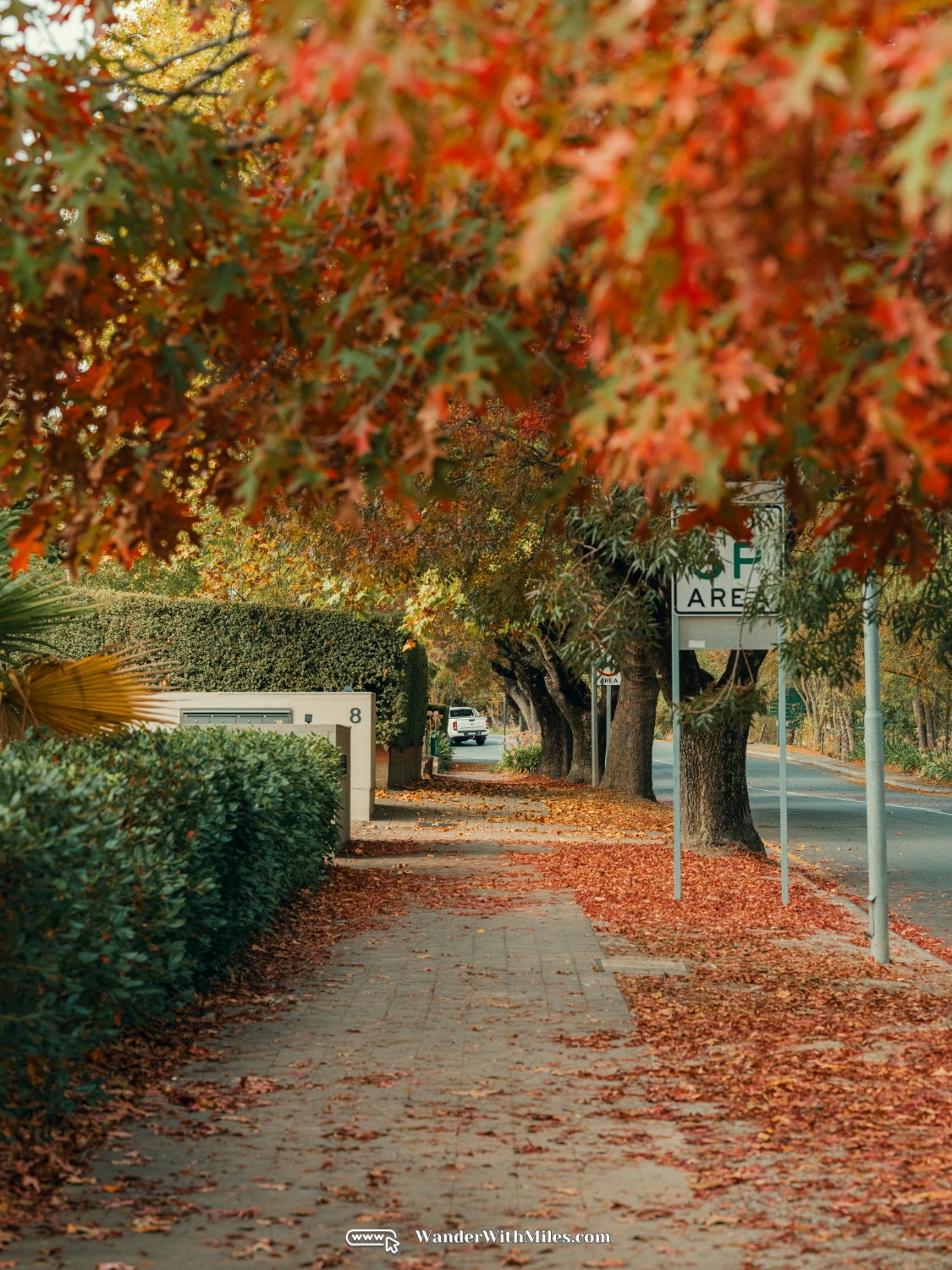 Handorf adelaide australia (11)