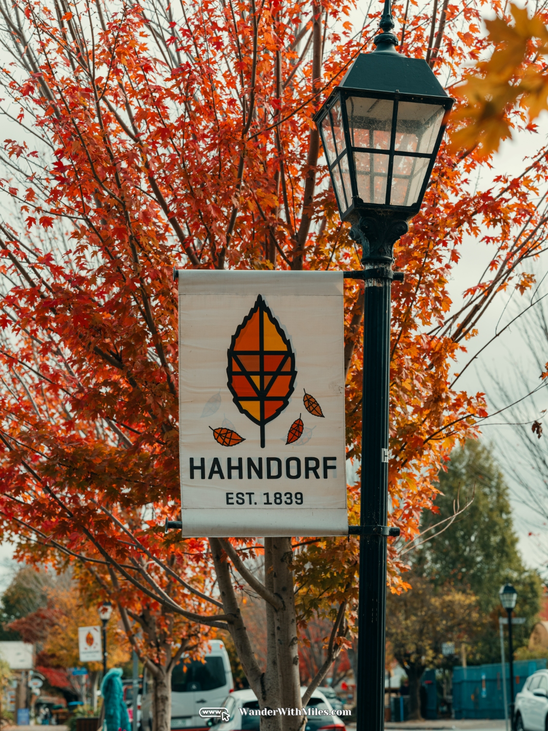 Handorf adelaide australia (18)