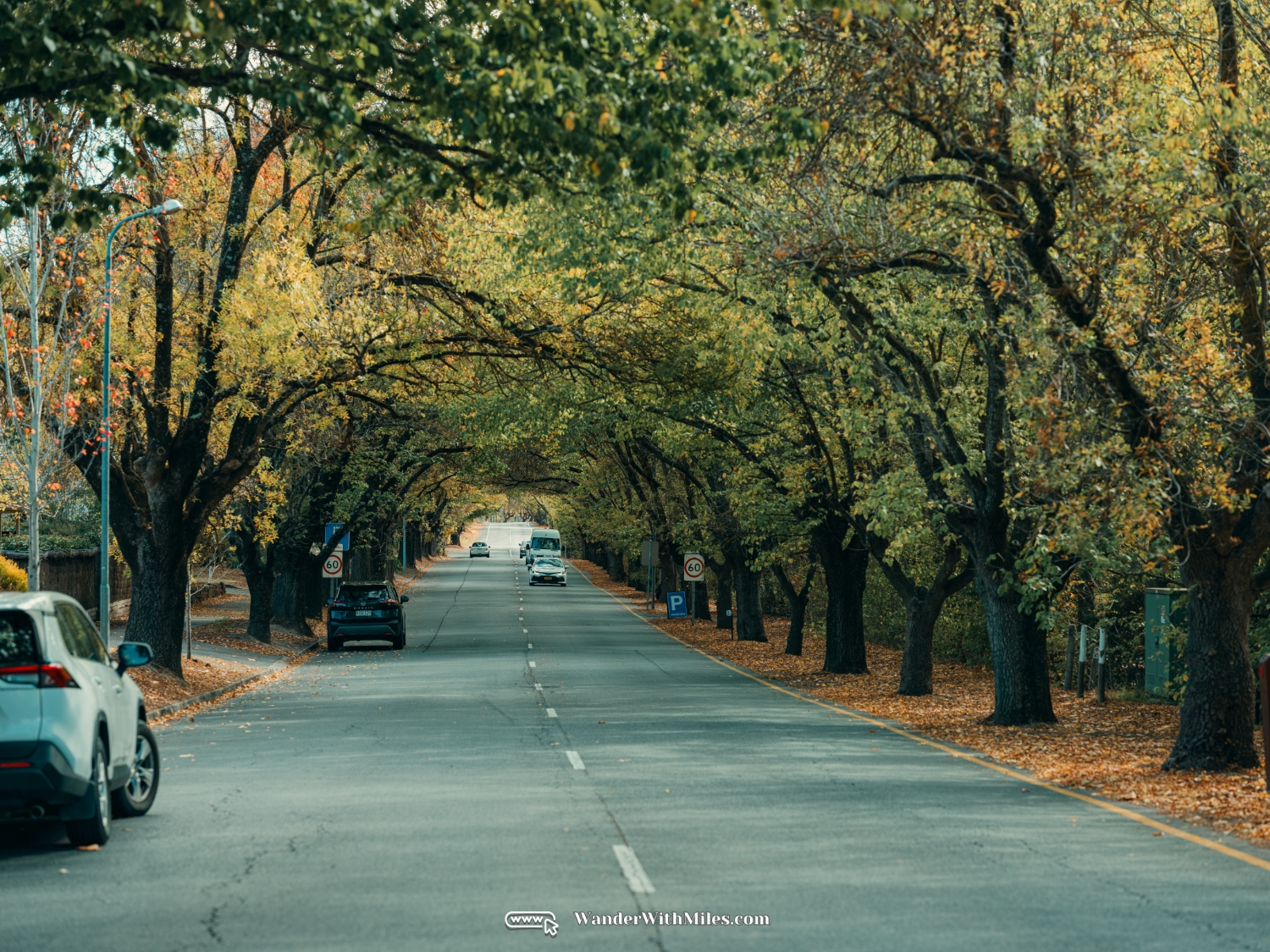 Handorf adelaide australia (42)