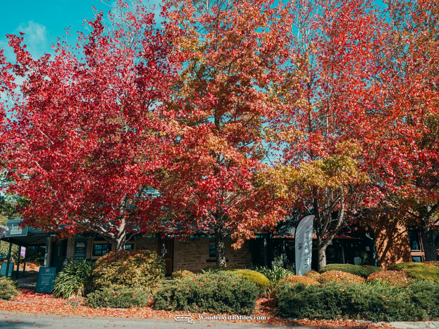 Handorf adelaide australia (47)