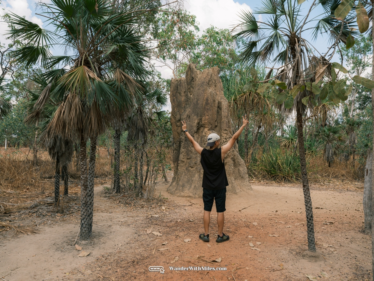 Litch field national parkdscf4476 (2)