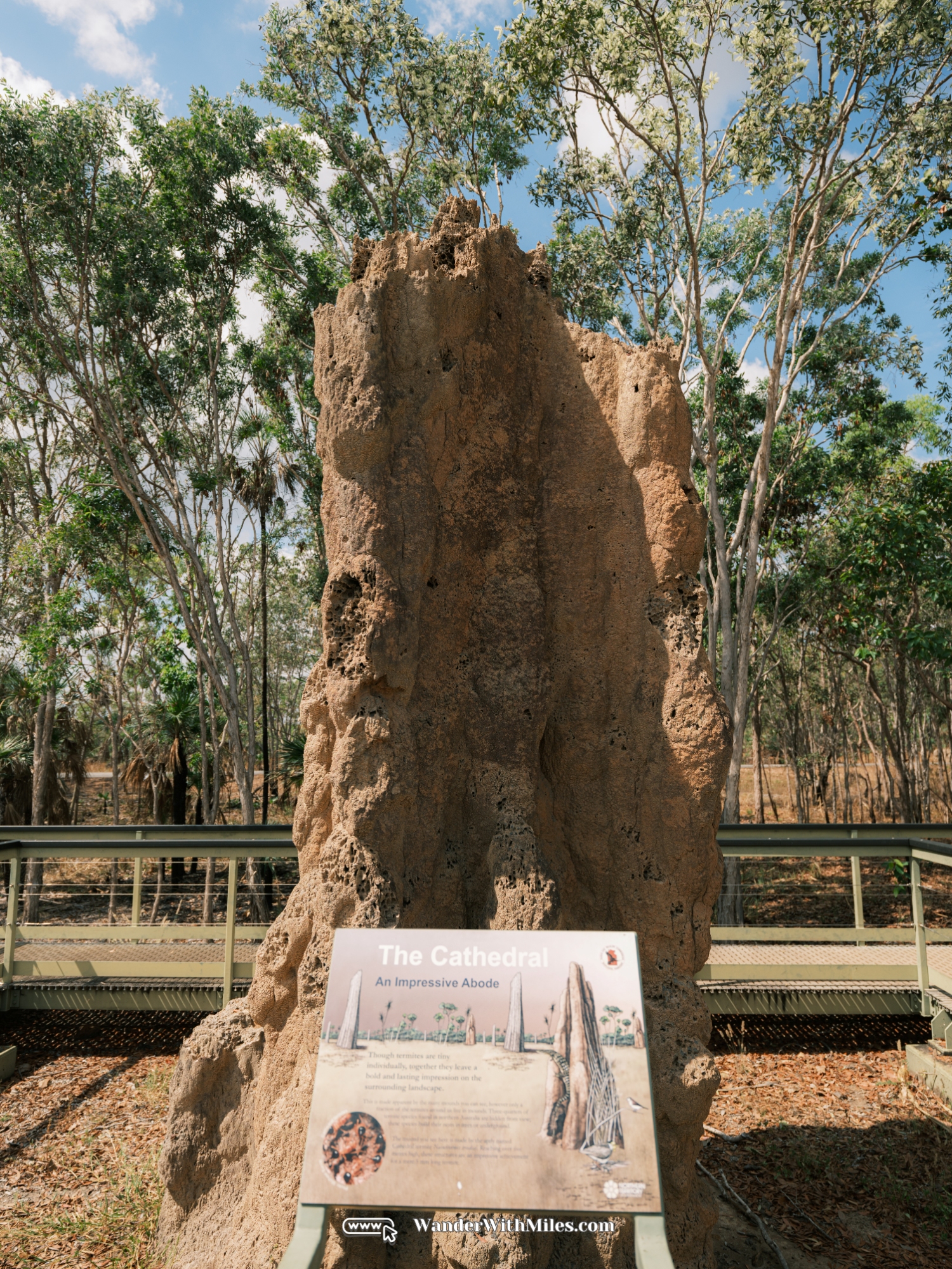 Litchfield national park darwin northern territory (13)