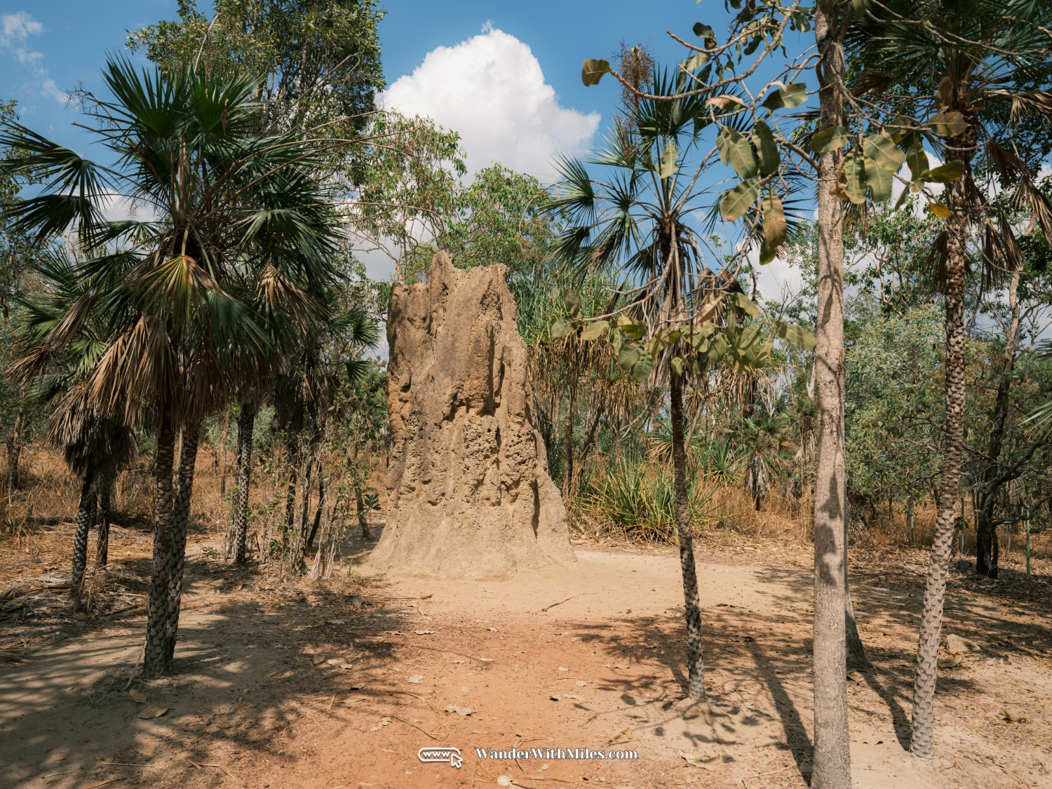 Litchfield national park darwin northern territory (15)