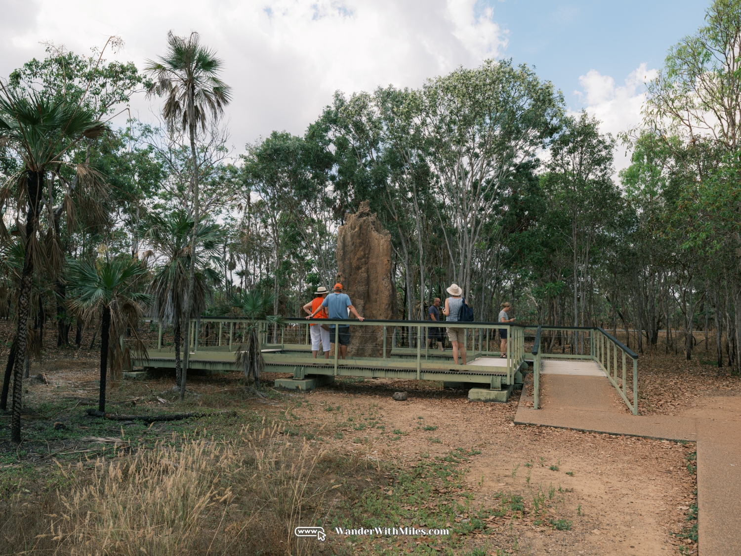 Litchfield national park darwin northern territory (22)