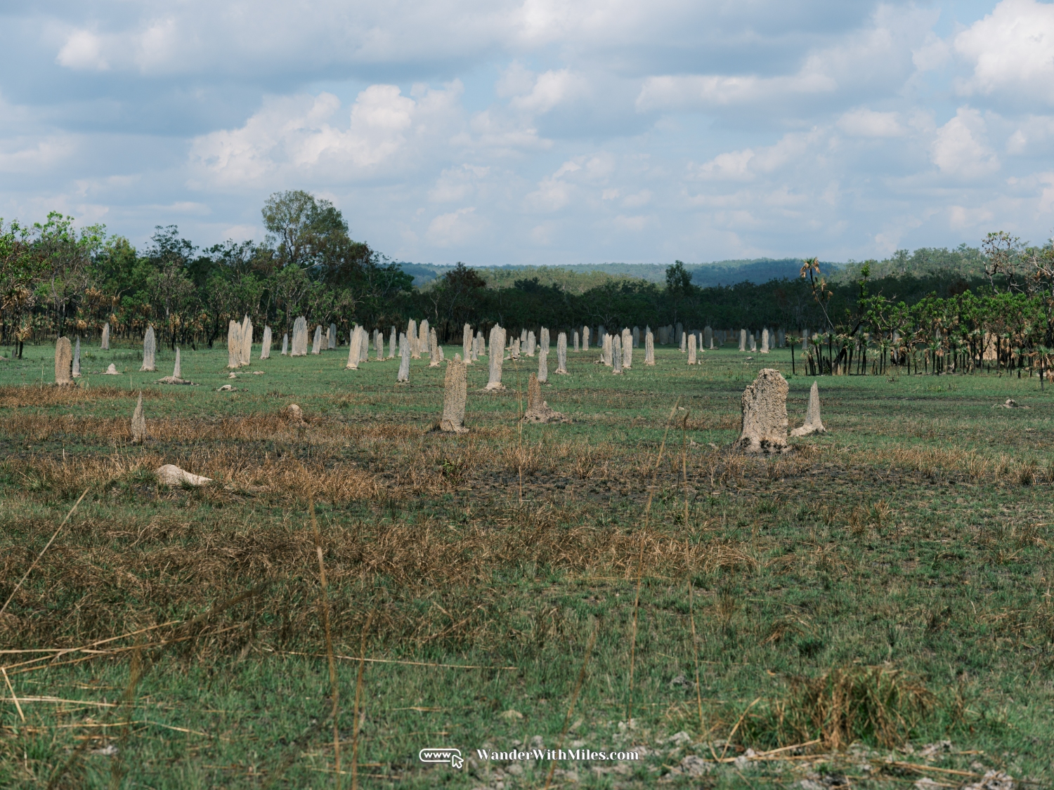 Litchfield national park darwin northern territory (8)