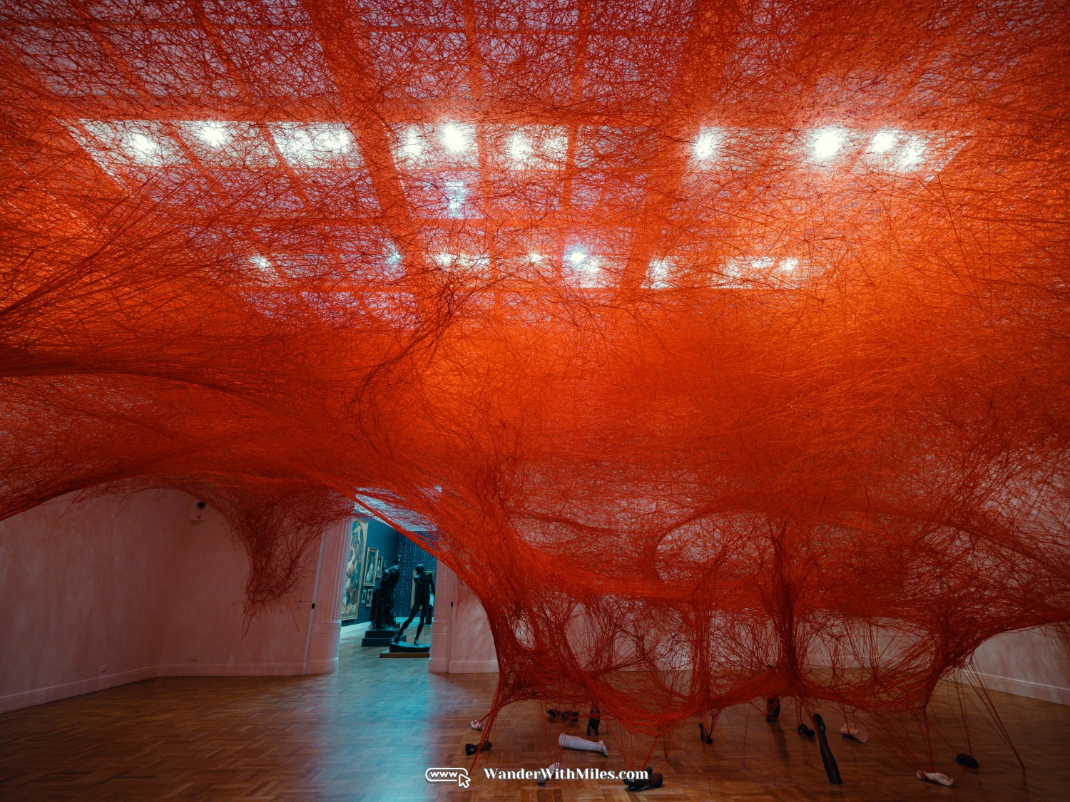 The art gallery of south australia (11)