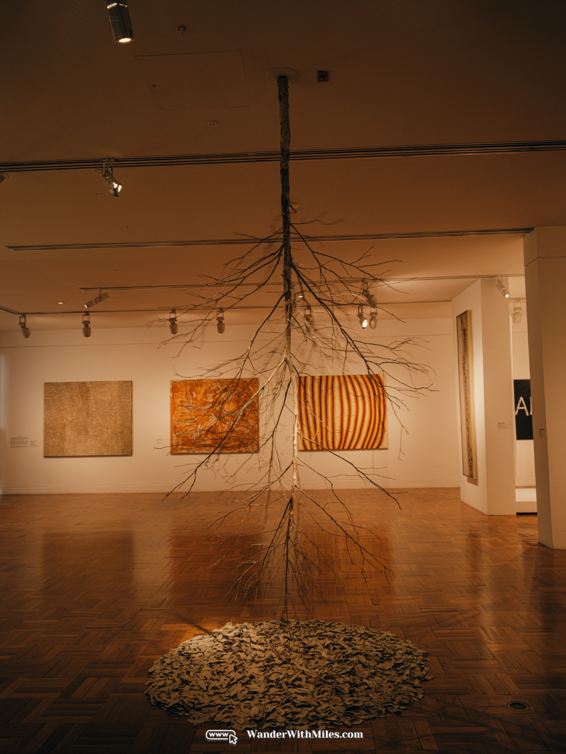 The art gallery of south australia (22)