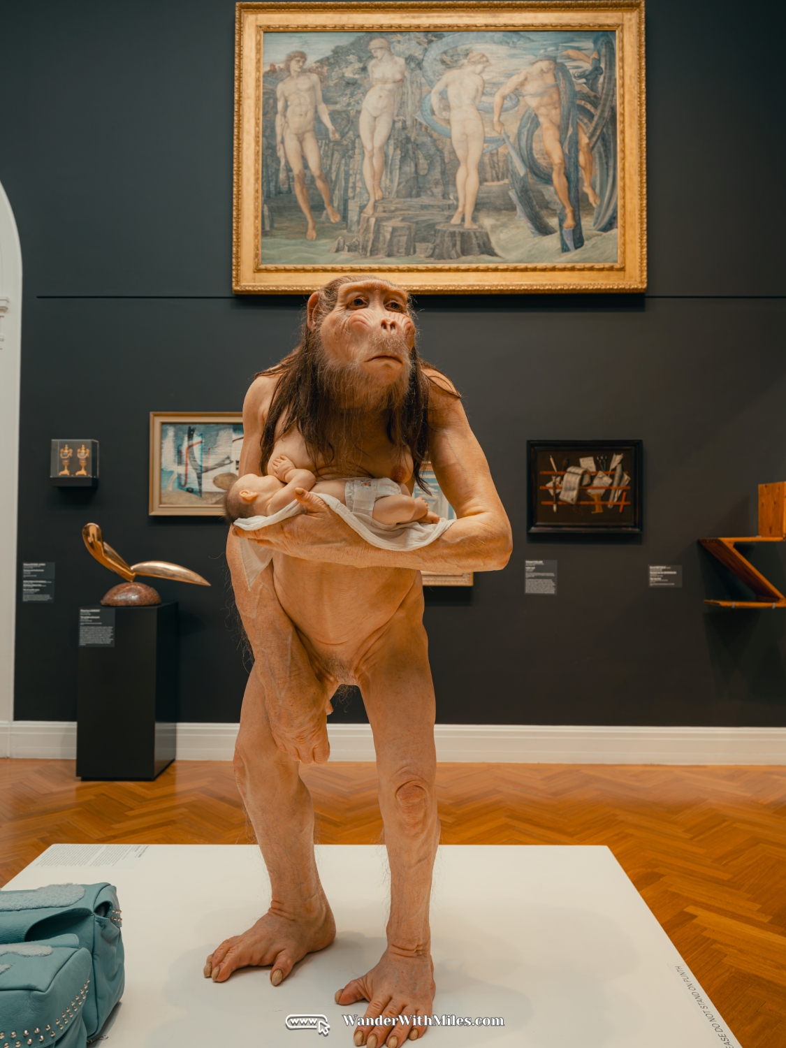 The art gallery of south australia (7)