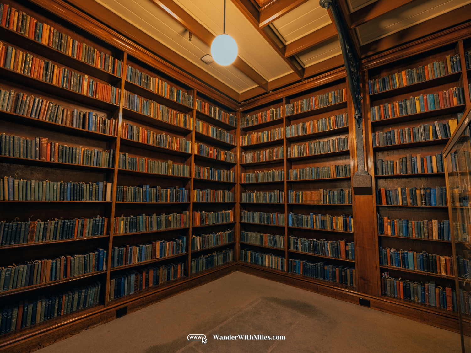 The mort lock wing state library of south australia (20)