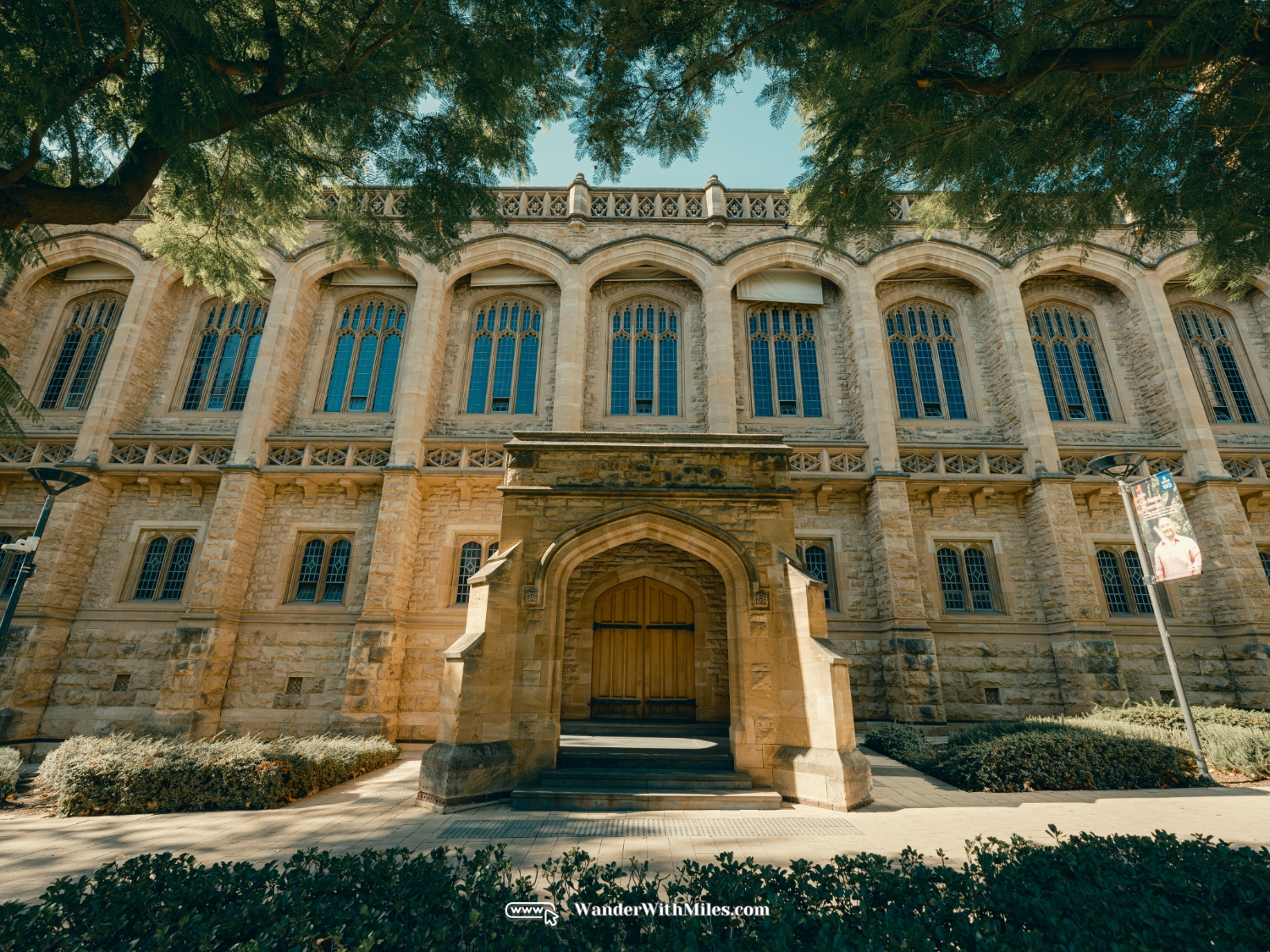 The university of adelaidedscf3147