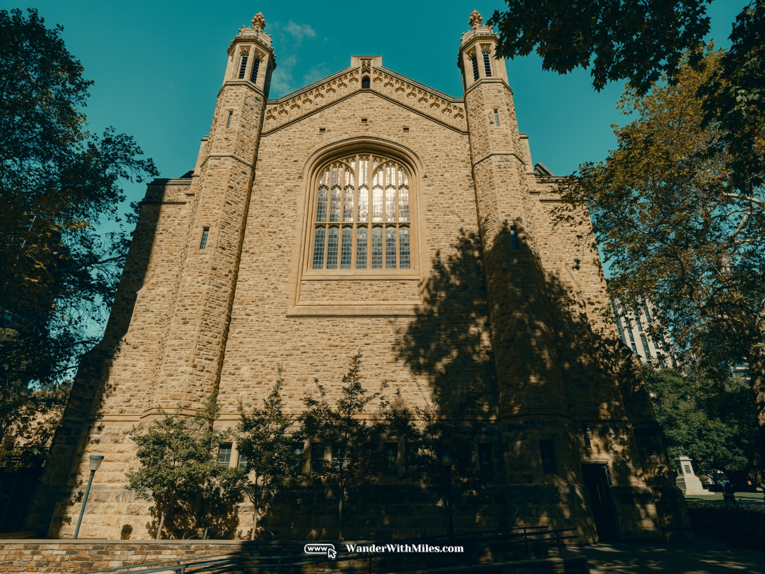 The university of adelaidedscf3149