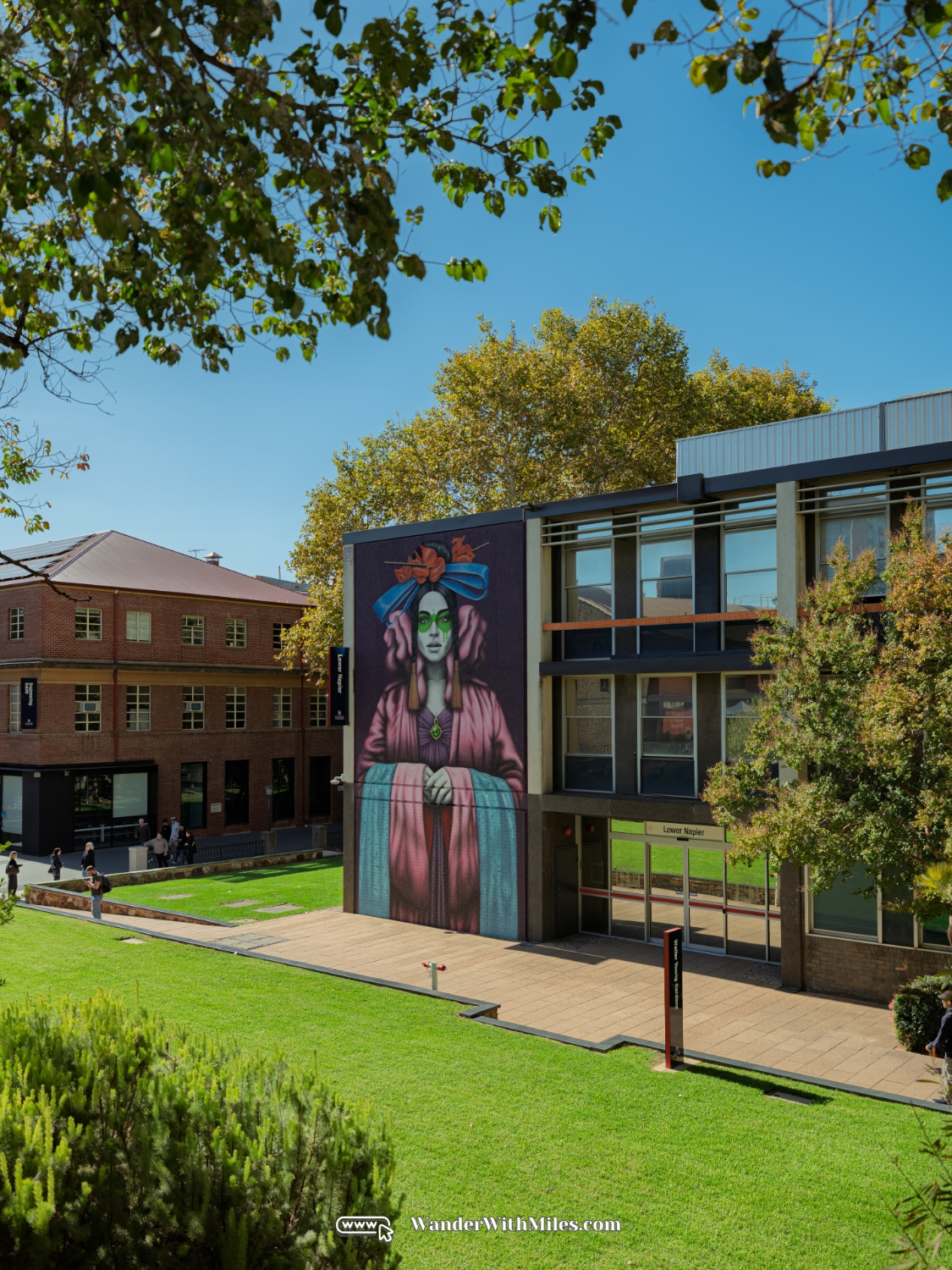 The university of adelaidedscf3150