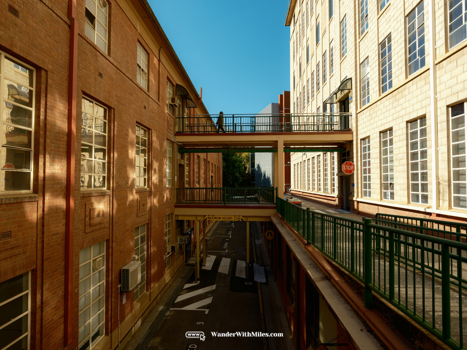 The university of adelaidedscf3153