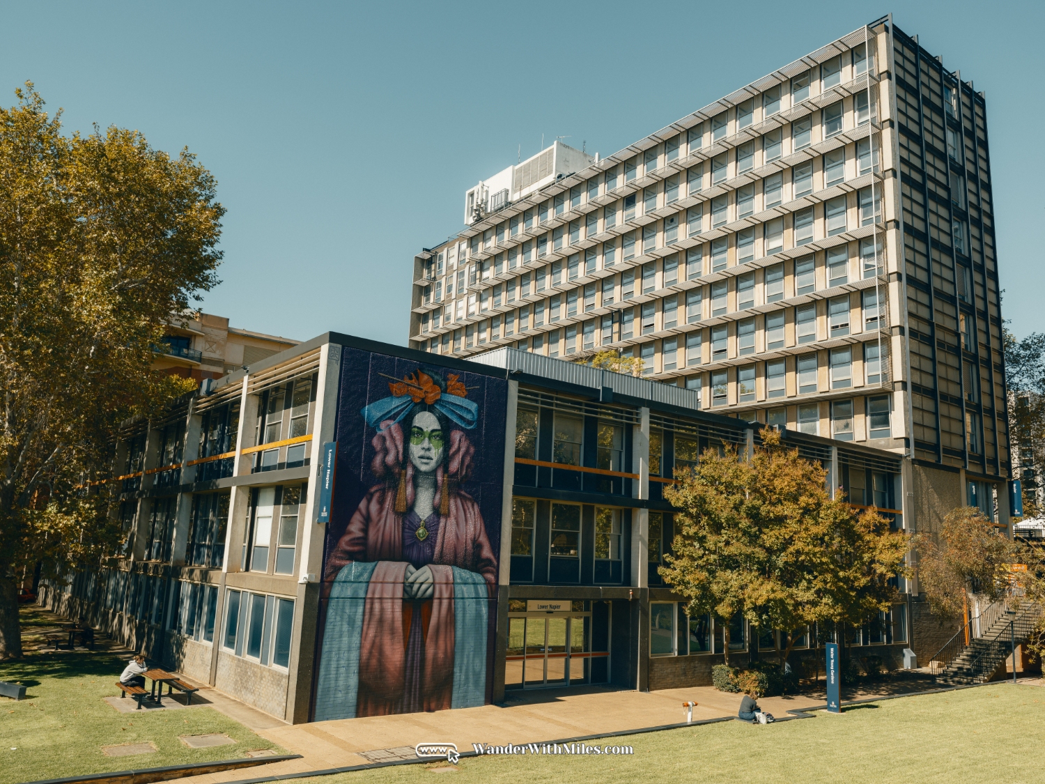 The university of adelaidedscf3163