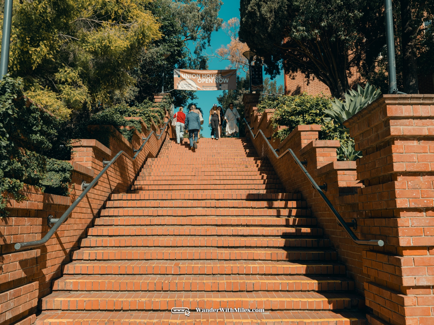 The university of adelaidedscf3164