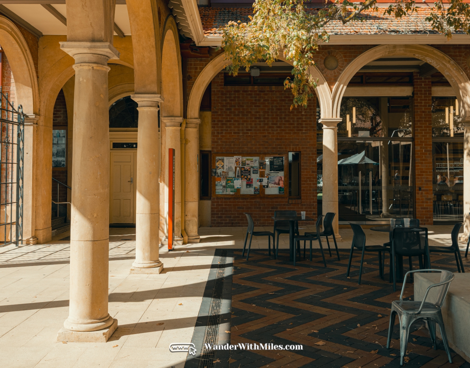 The university of adelaidedscf3168