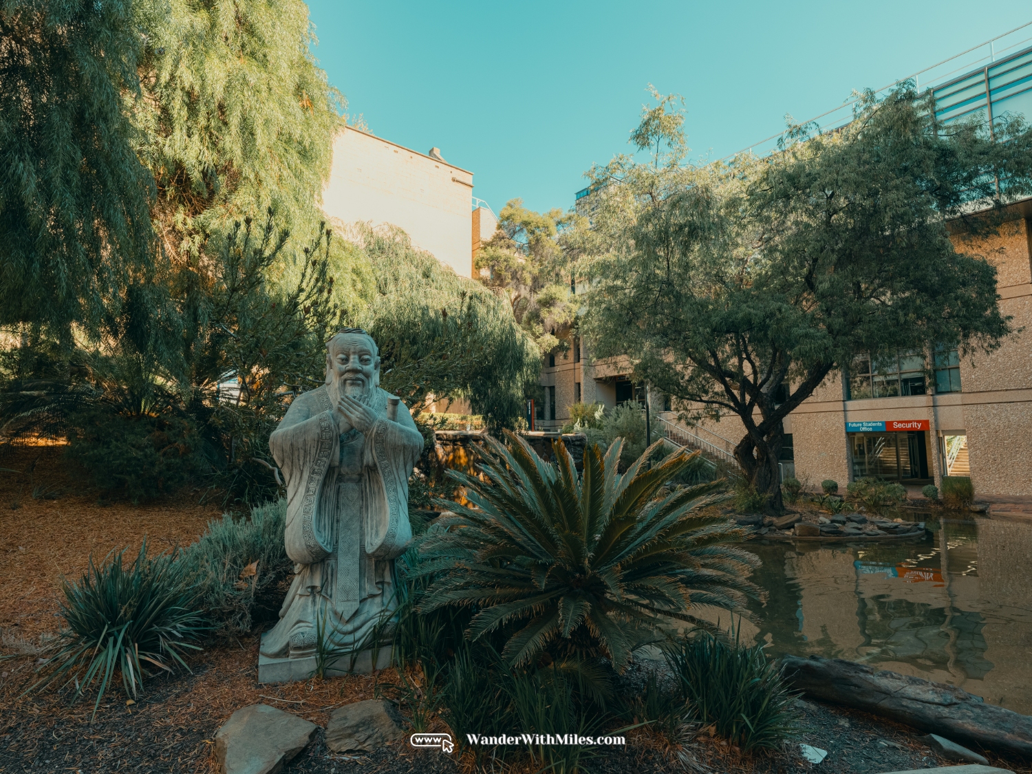 The university of adelaidedscf3190