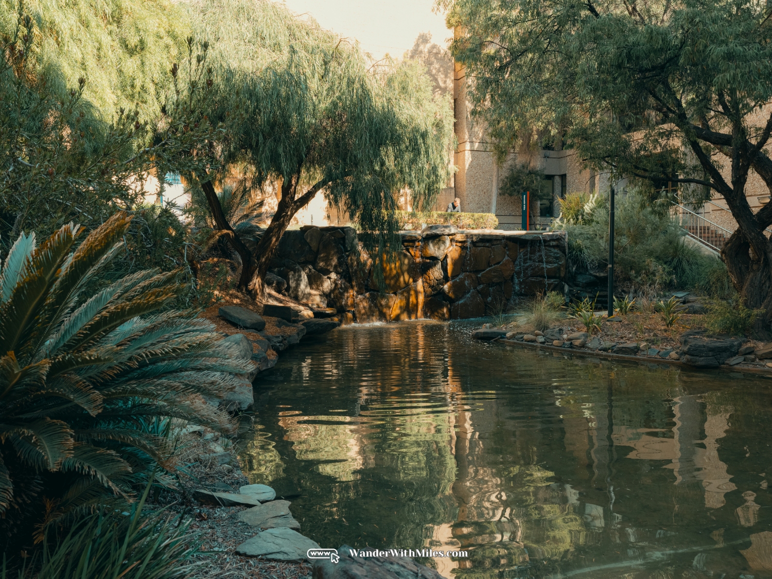 The university of adelaidedscf3191