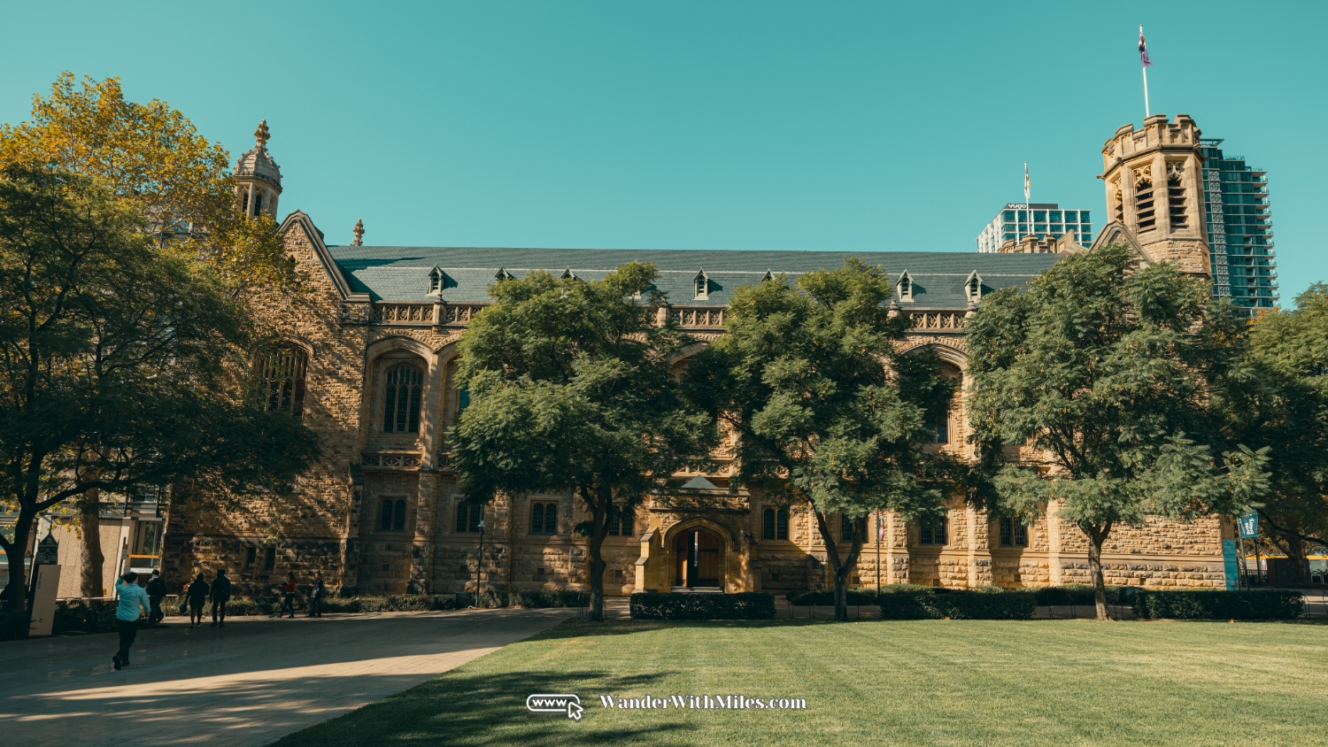 The university of adelaidedscf3198