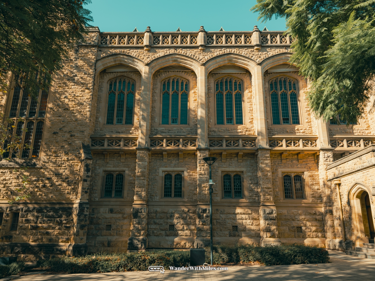 The university of adelaidedscf3199