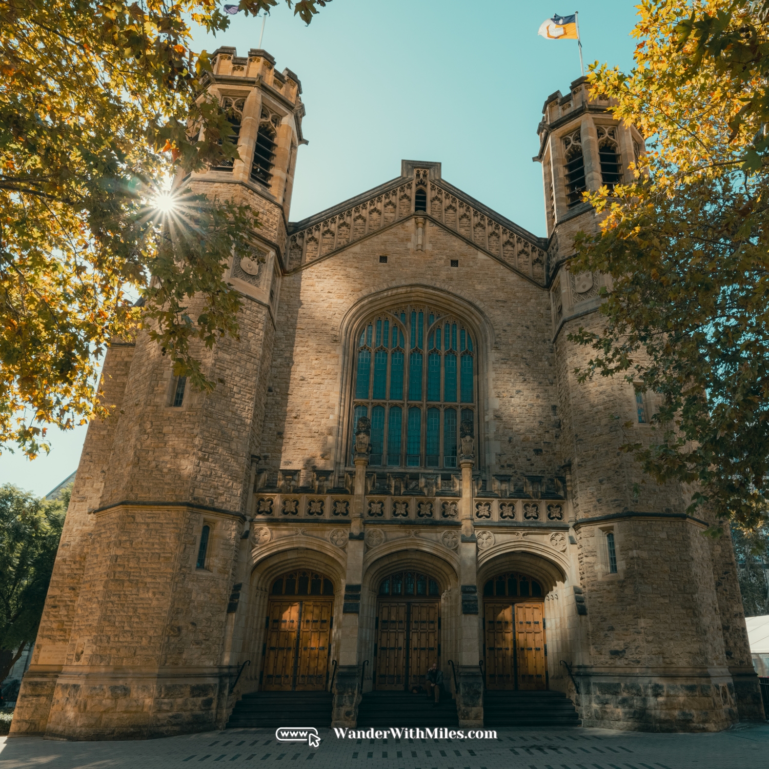 The university of adelaidedscf3208