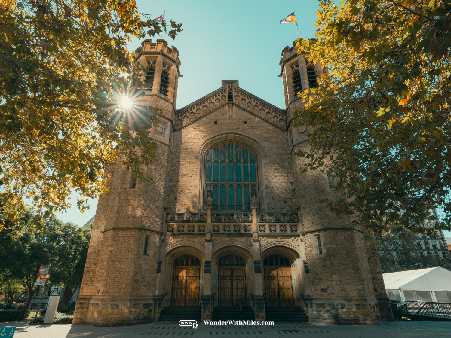 The university of adelaidedscf3209