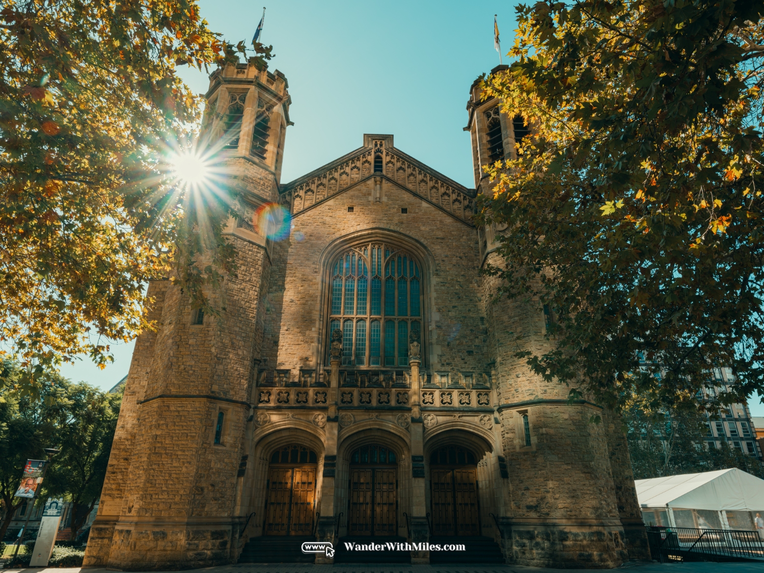 The university of adelaidedscf3214