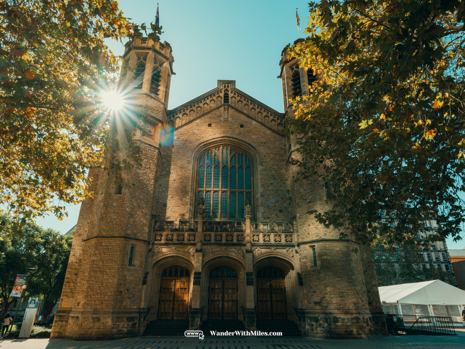 The university of adelaidedscf3215