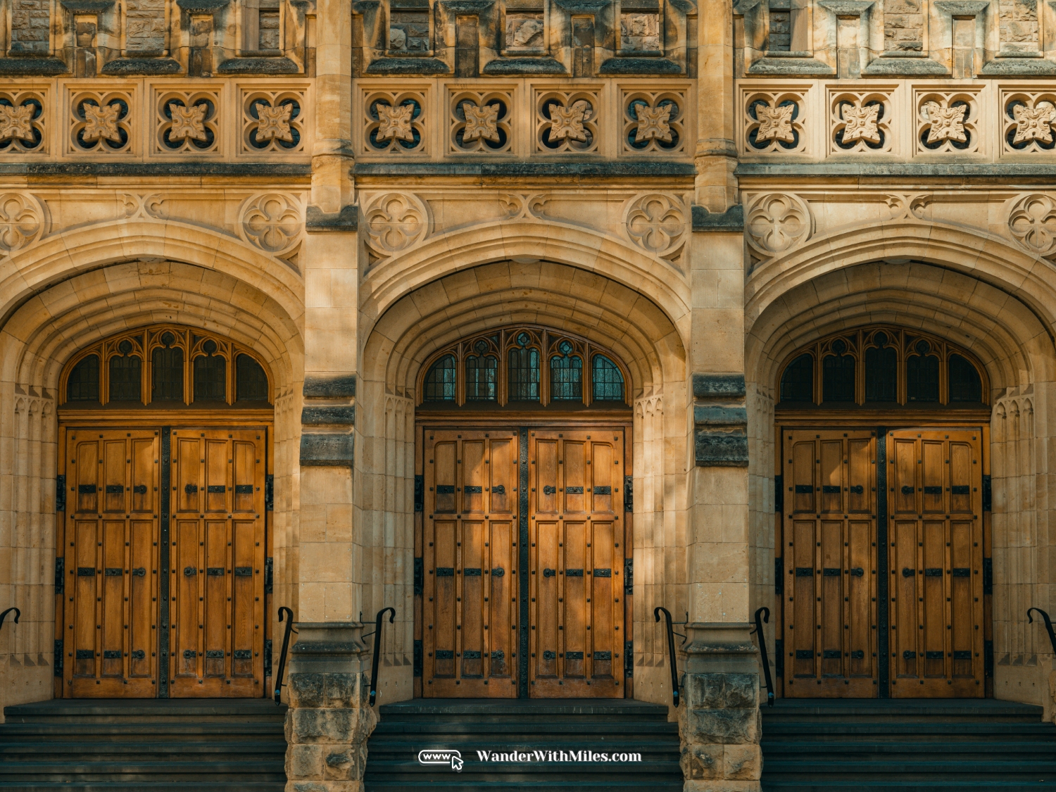 The university of adelaidedscf3217