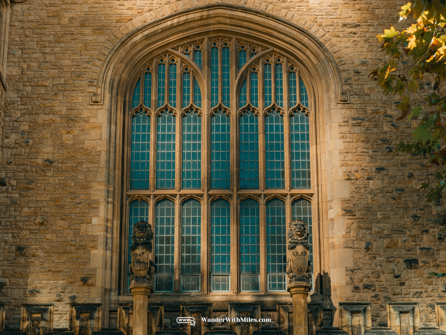 The university of adelaidedscf3223