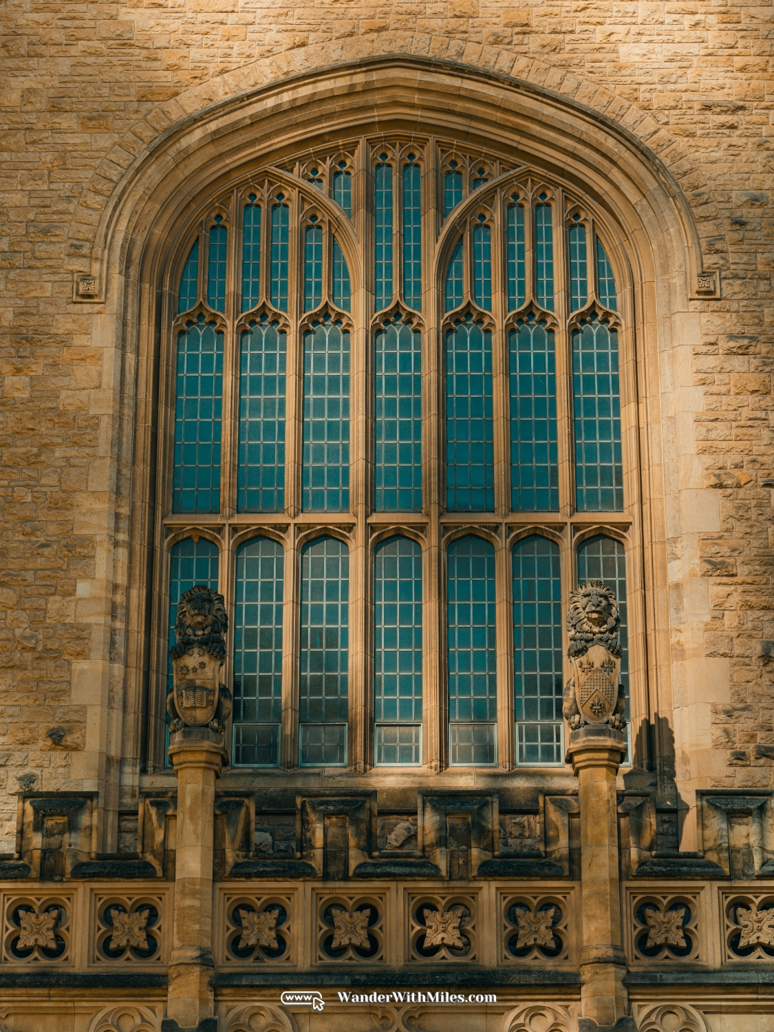 The university of adelaidedscf3224