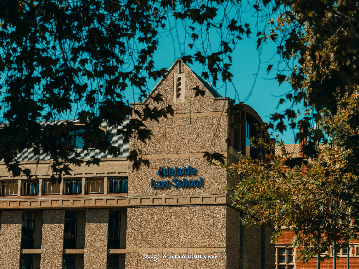 The university of adelaidedscf3226