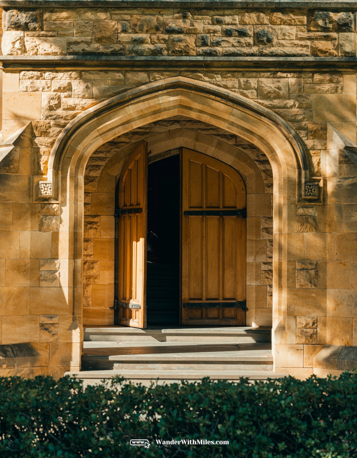 The university of adelaidedscf3227