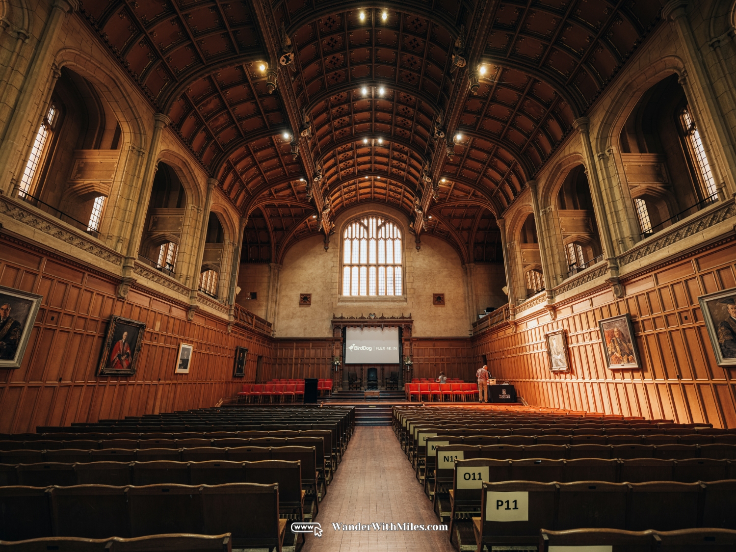 The university of adelaidedscf3231