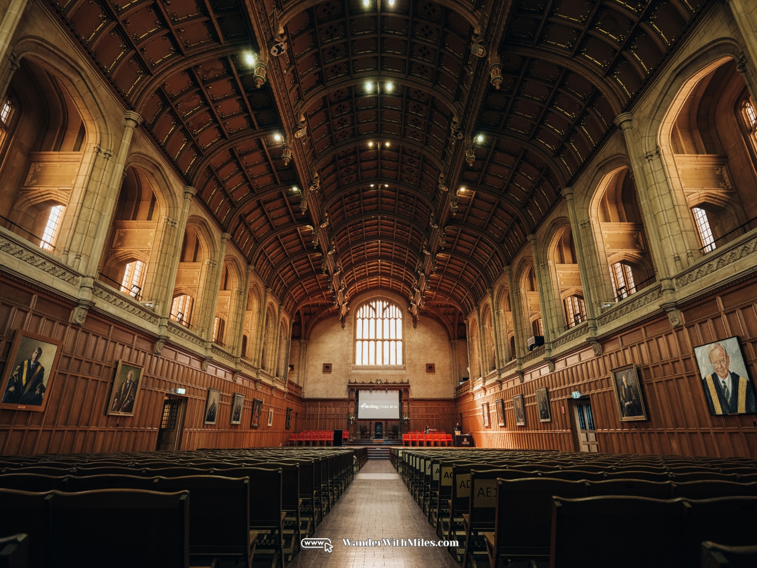 The university of adelaidedscf3242