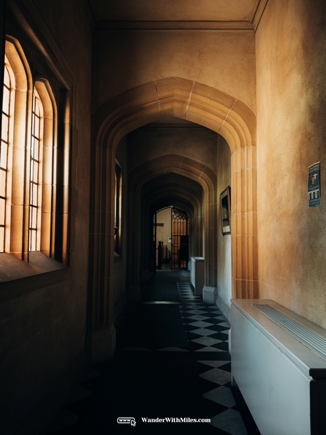 The university of adelaidedscf3248