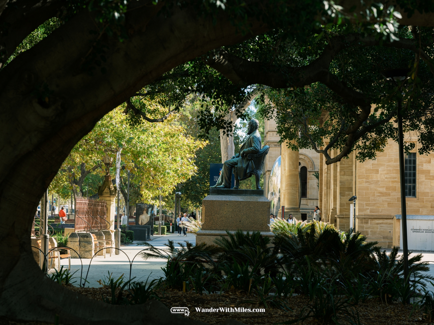 The university of adelaidedscf3254