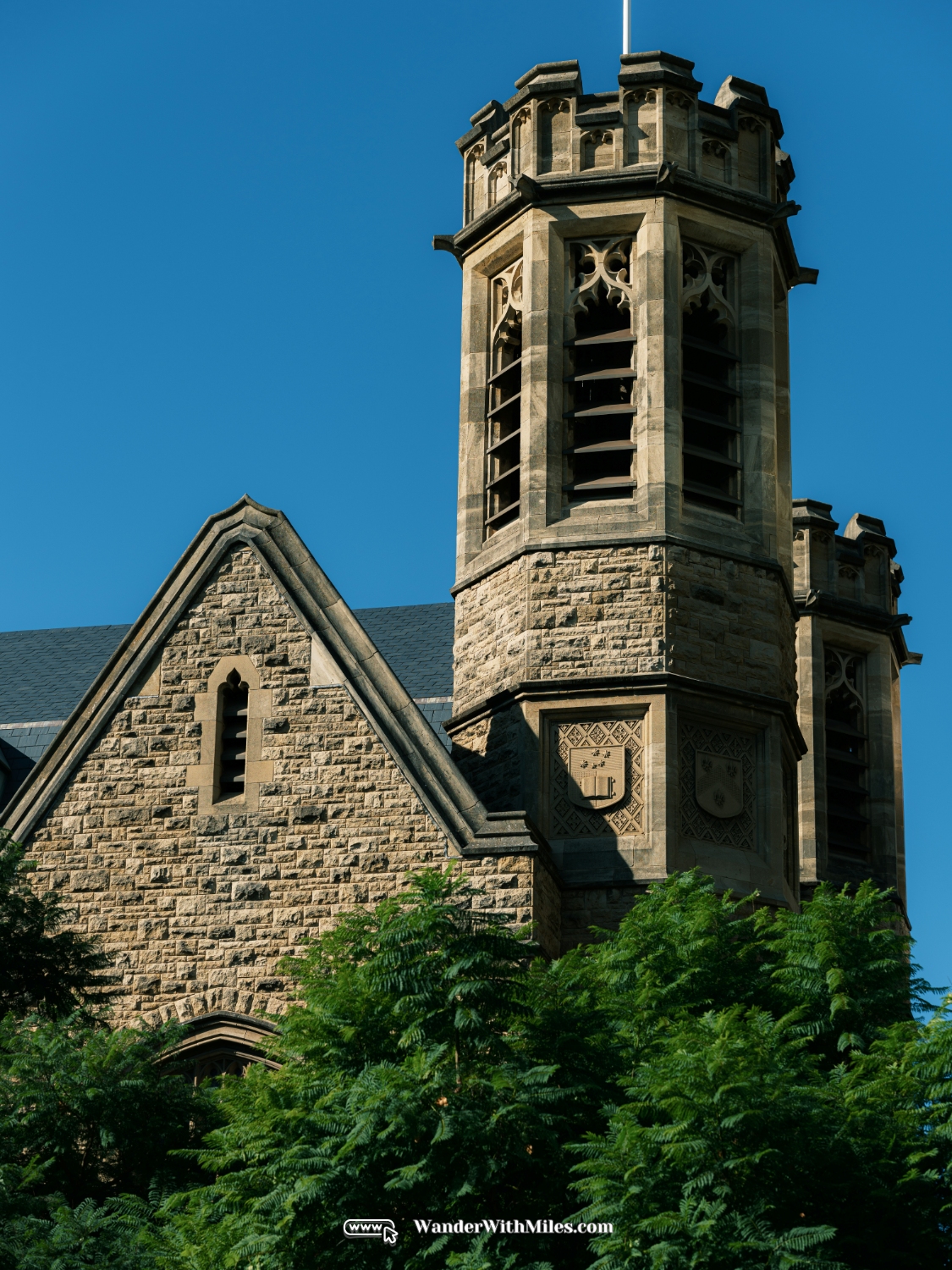 The university of adelaidedscf3255