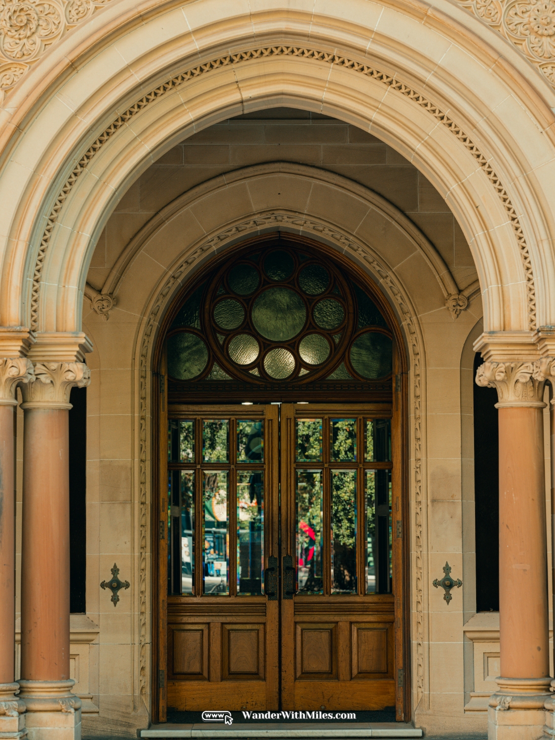 The university of adelaidedscf3264