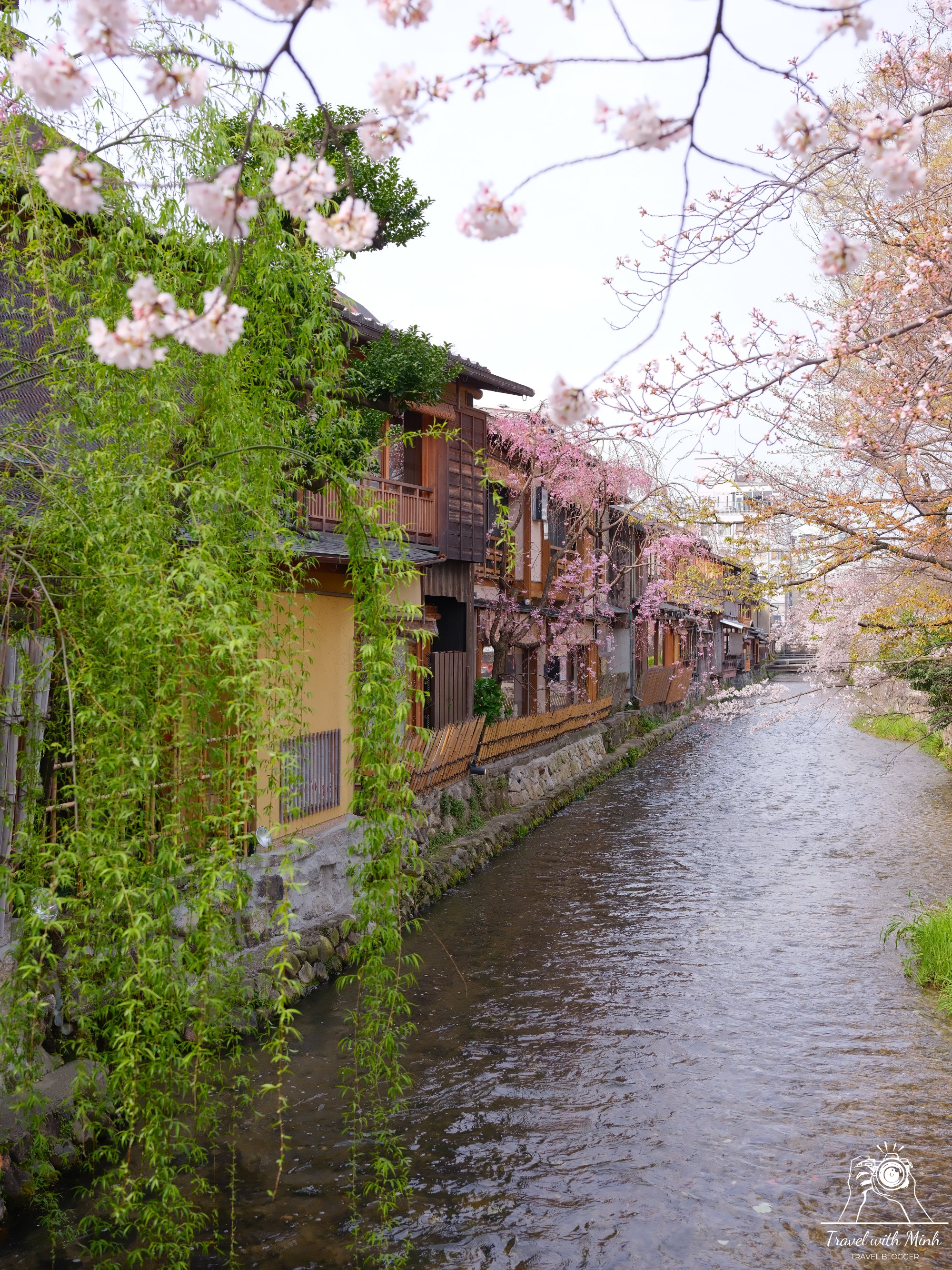 Sakura kyotodscf5868