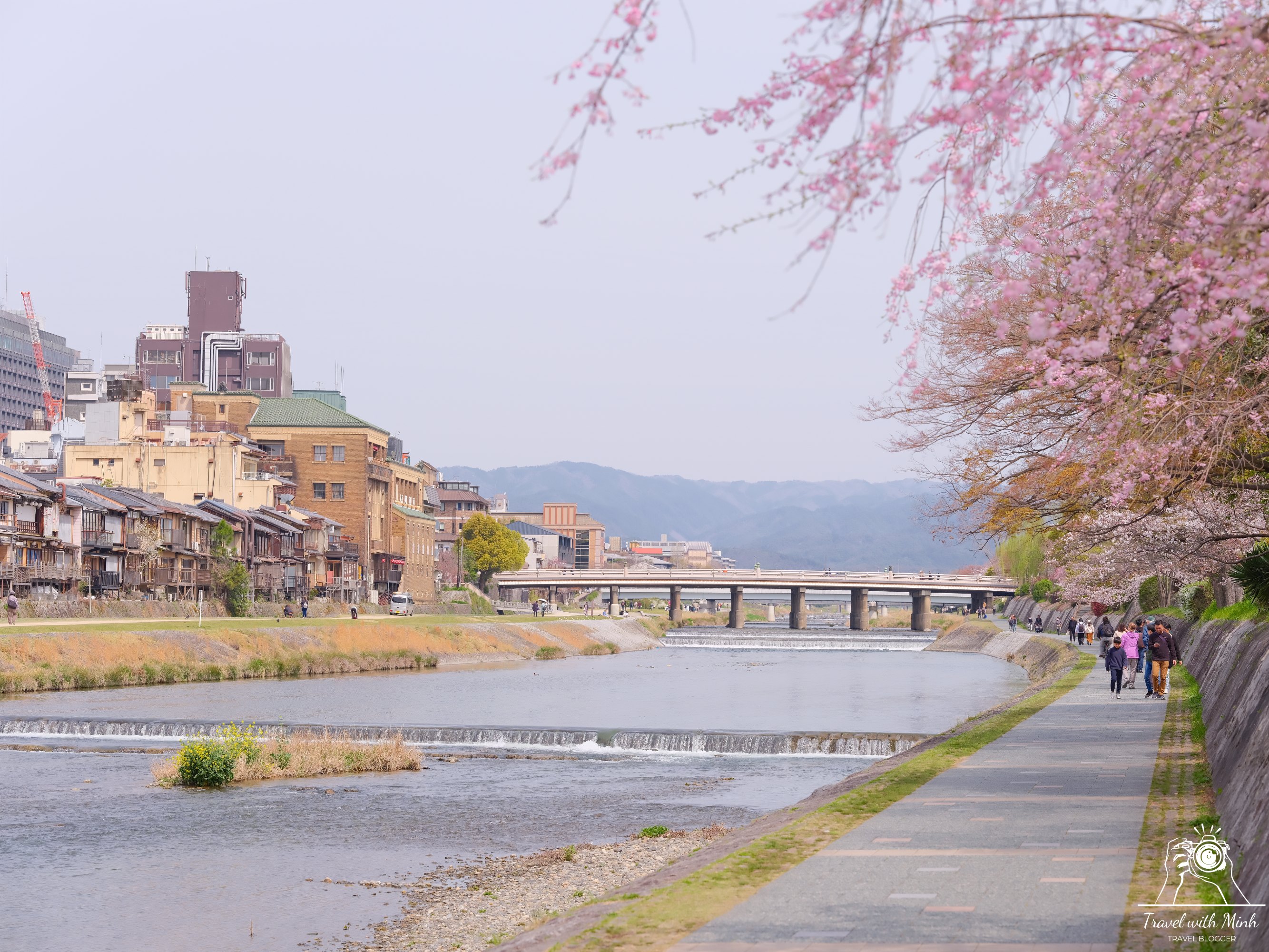 Sakura kyotodscf5894