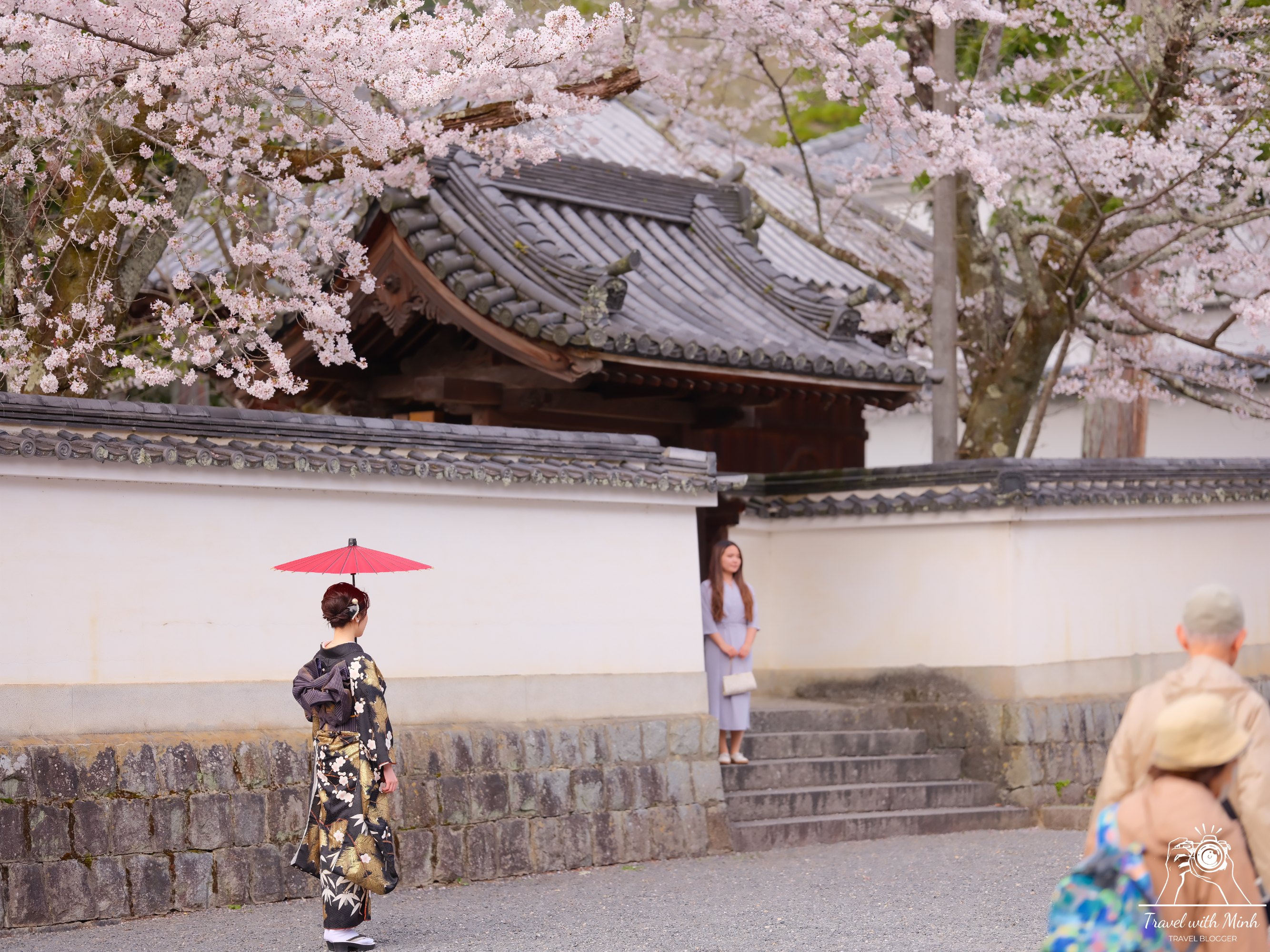 Sakura kyotodscf6327