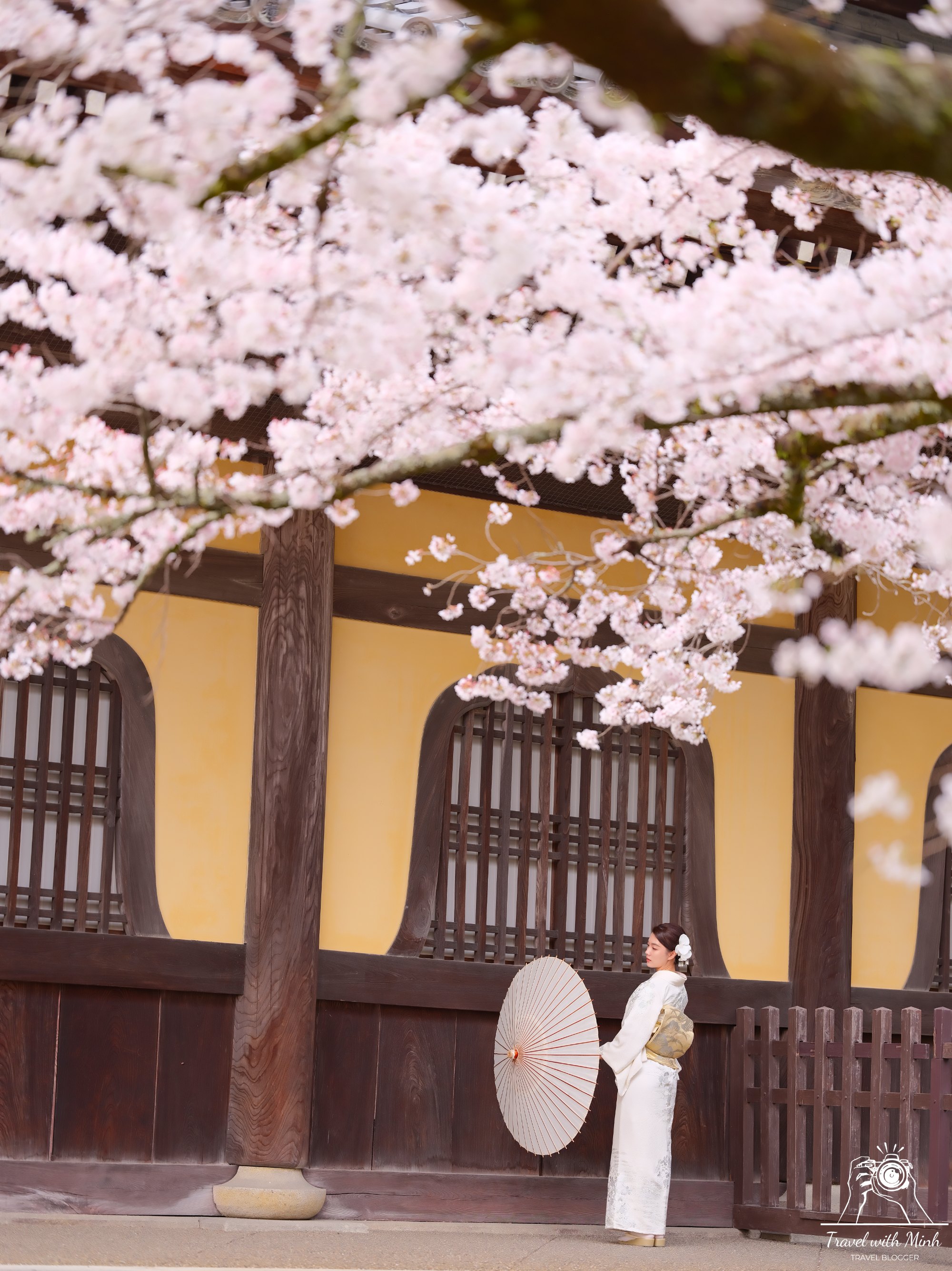 Sakura kyotodscf6344