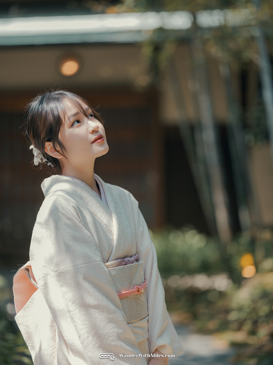 All spots to take kimono photo in kyotodscf7104