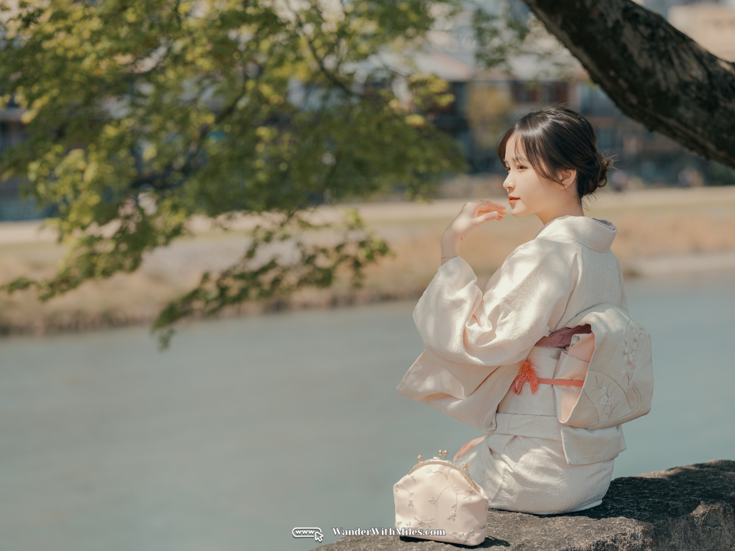 All spots to take kimono photo in kyotodscf7260